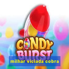 milhar viciada cobra